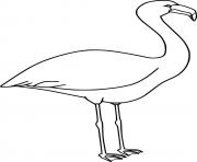 Printable Simple Flamingo coloring pages