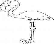 Printable Very Simple Flamingo coloring pages
