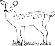 Printable Young Deer on the Grass coloring pages