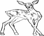 Printable Realistic Spotted Deer coloring pages