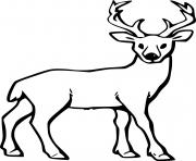 Printable Simple Realistic Deer coloring pages