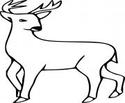 Printable easy white tailed deer coloring pages