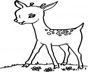 Printable Baby Deer on the Grass coloring pages