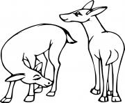 Two Little Deer