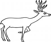 Printable simple white tailed deer coloring pages