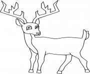 Printable funny white tailed deer coloring pages