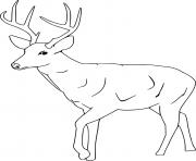 simple whitetail