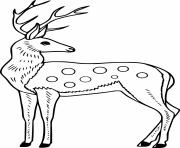 Printable Male Sika Deer coloring pages