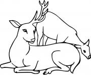 Printable Two Simple Deer coloring pages