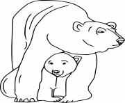 Baby Polar Bear Hiding Under Moms Tummy