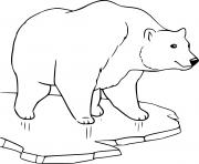 Printable Easy Polar Bear on the Ice coloring pages