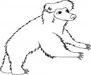 Cartoon Sloth Bear