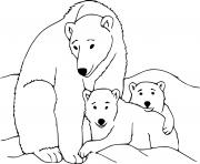 Polar Bear Mom and Two Cubs