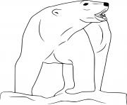 Roaring Polar Bear