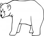 Printable Easy Brown Bear coloring pages
