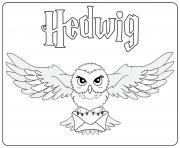 Printable Hedwig coloring pages