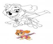 Printable skye aircraft paw patrol coloring pages