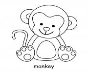 monkey cute animal