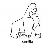 gorilla cute animal
