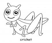 cricket