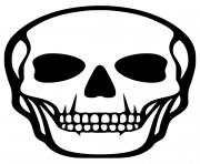 Printable Human Skull Skeleton a4 coloring pages