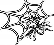 Printable Realistic Spider Spinning Web coloring pages