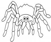 Printable easy spider coloring pages