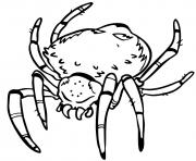 Printable scary spider realistic coloring pages