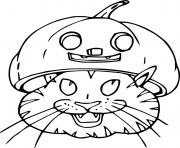 Printable Cat in Jack O Lantern coloring pages