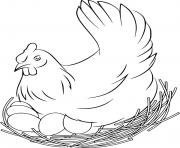 Printable Hen Hatching Eggs coloring pages