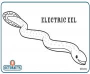 Printable electric Eel coloring pages