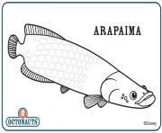 Printable arapaima octonaut creature coloring pages